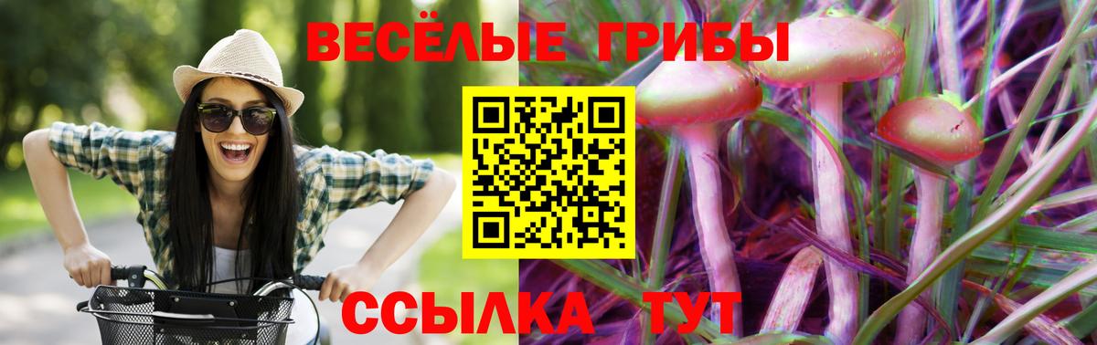 Галлюциногенные грибы Psilocybine cubensis  Псилоцибиновые грибы GOLDEN TEACHER  Вход с VPN  Сегежа 